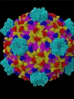 Virology