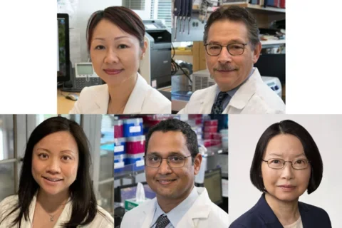 CIRM Quest grant recipient collage