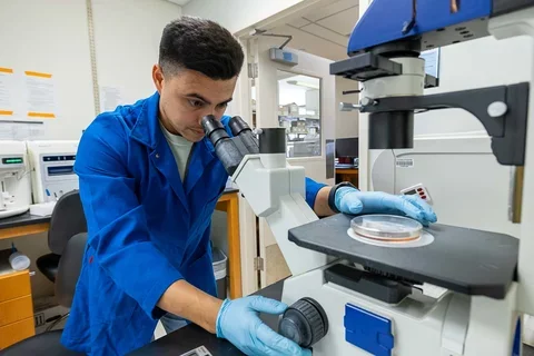 MIMG lab microscope