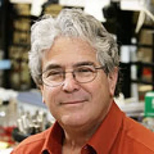 Jeffery H Miller, PhD