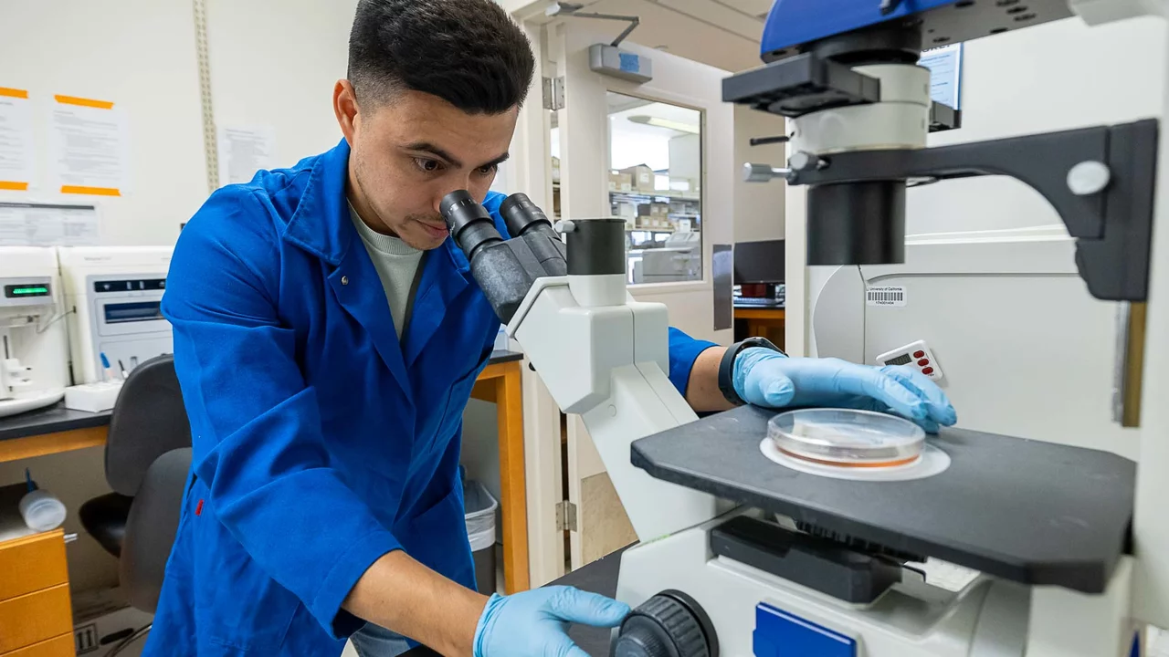 MIMG lab microscope