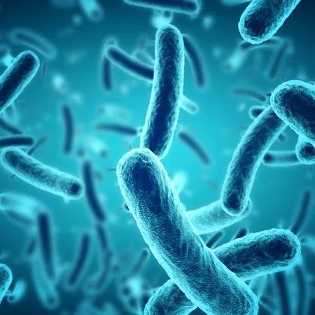 Microbial Biology