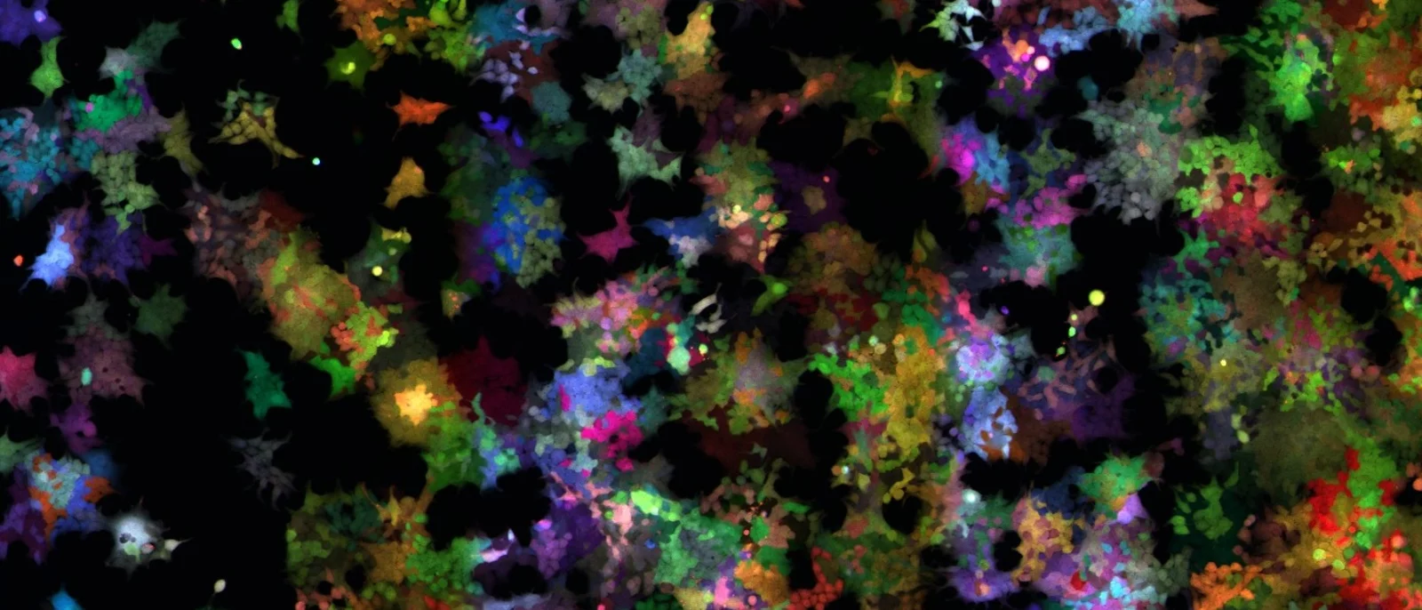 Immunology
