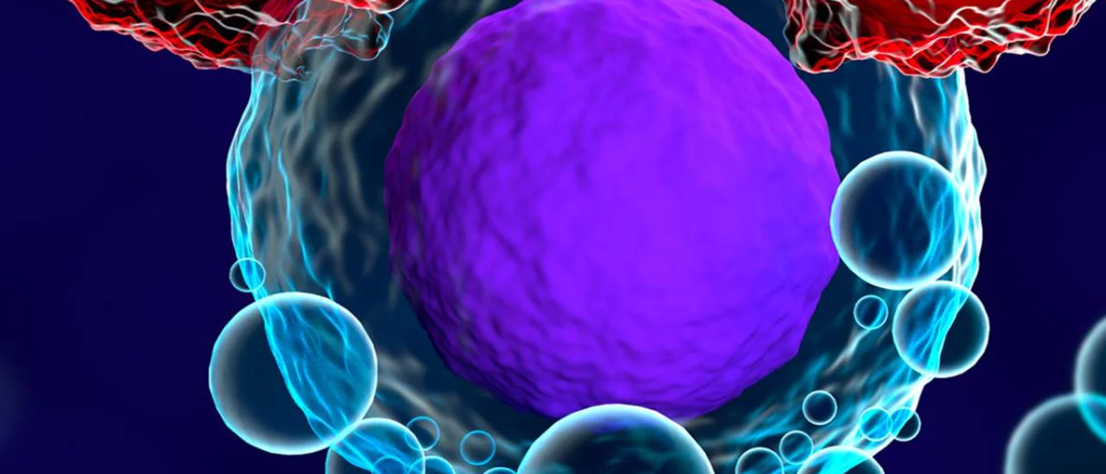 T-cells cancer vertical