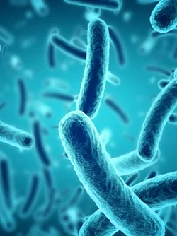 Microbial Biology