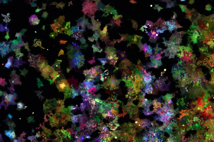 Immunology