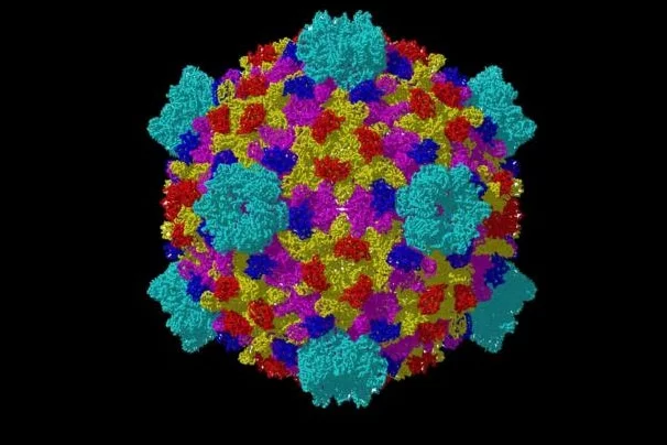 Virology