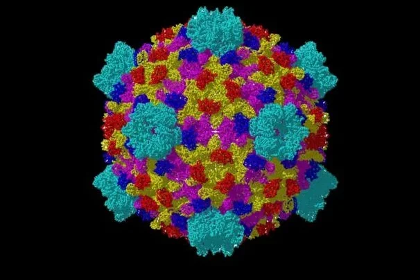 Virology