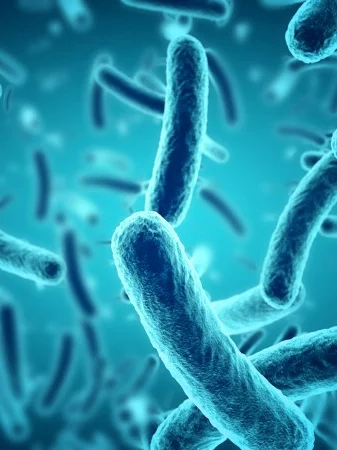 Microbial Biology