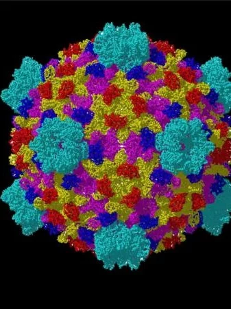 Virology