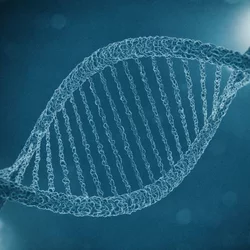 DNA model 